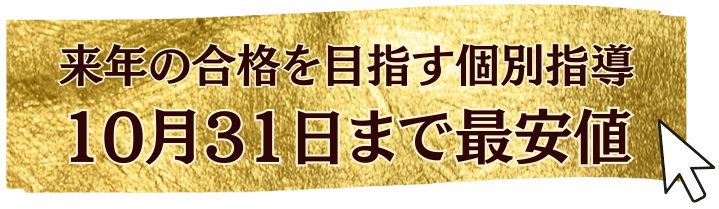 来年の合格を目指す個別指導10月31日まで最安値